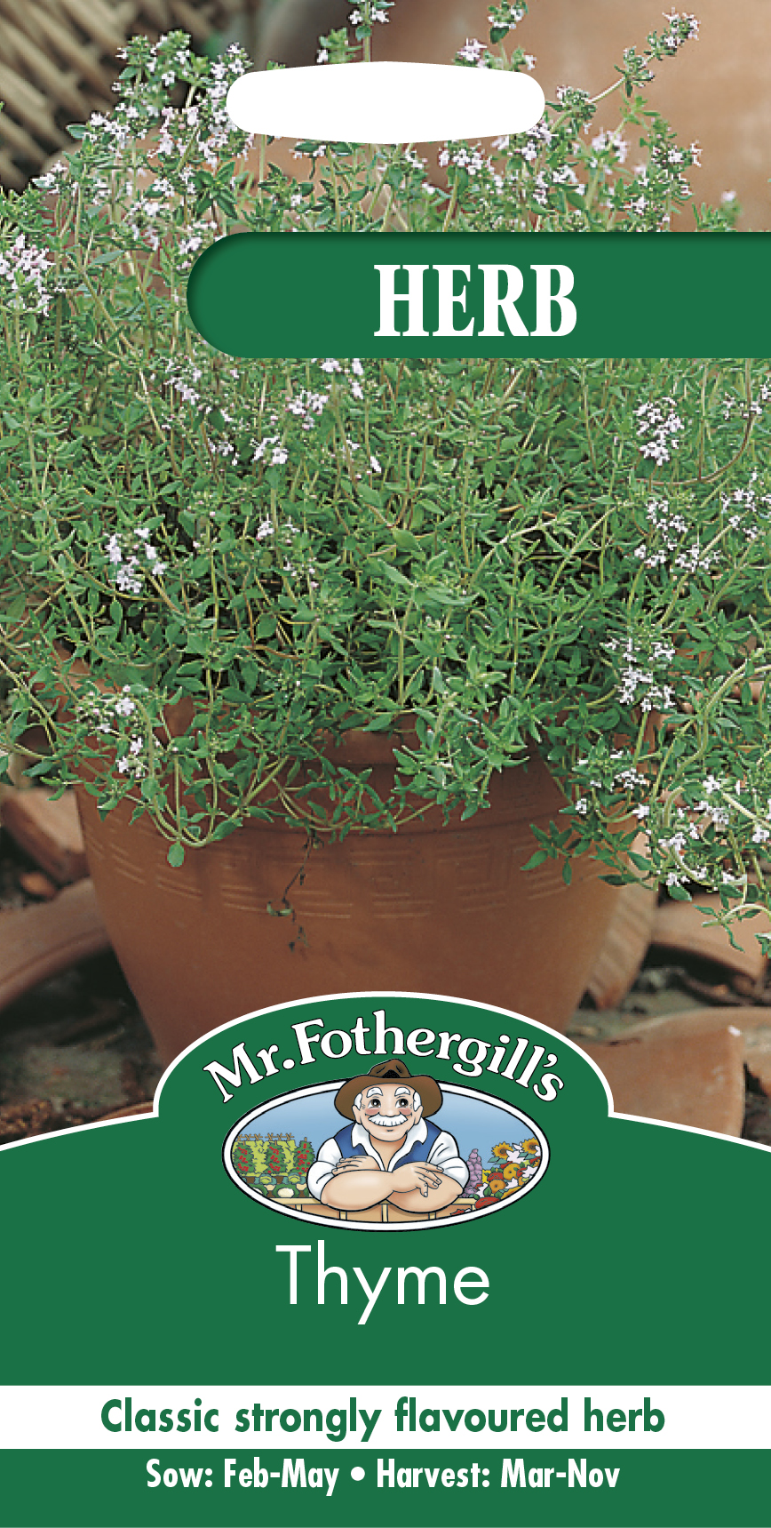 Kryddtimjan frö - Fröer