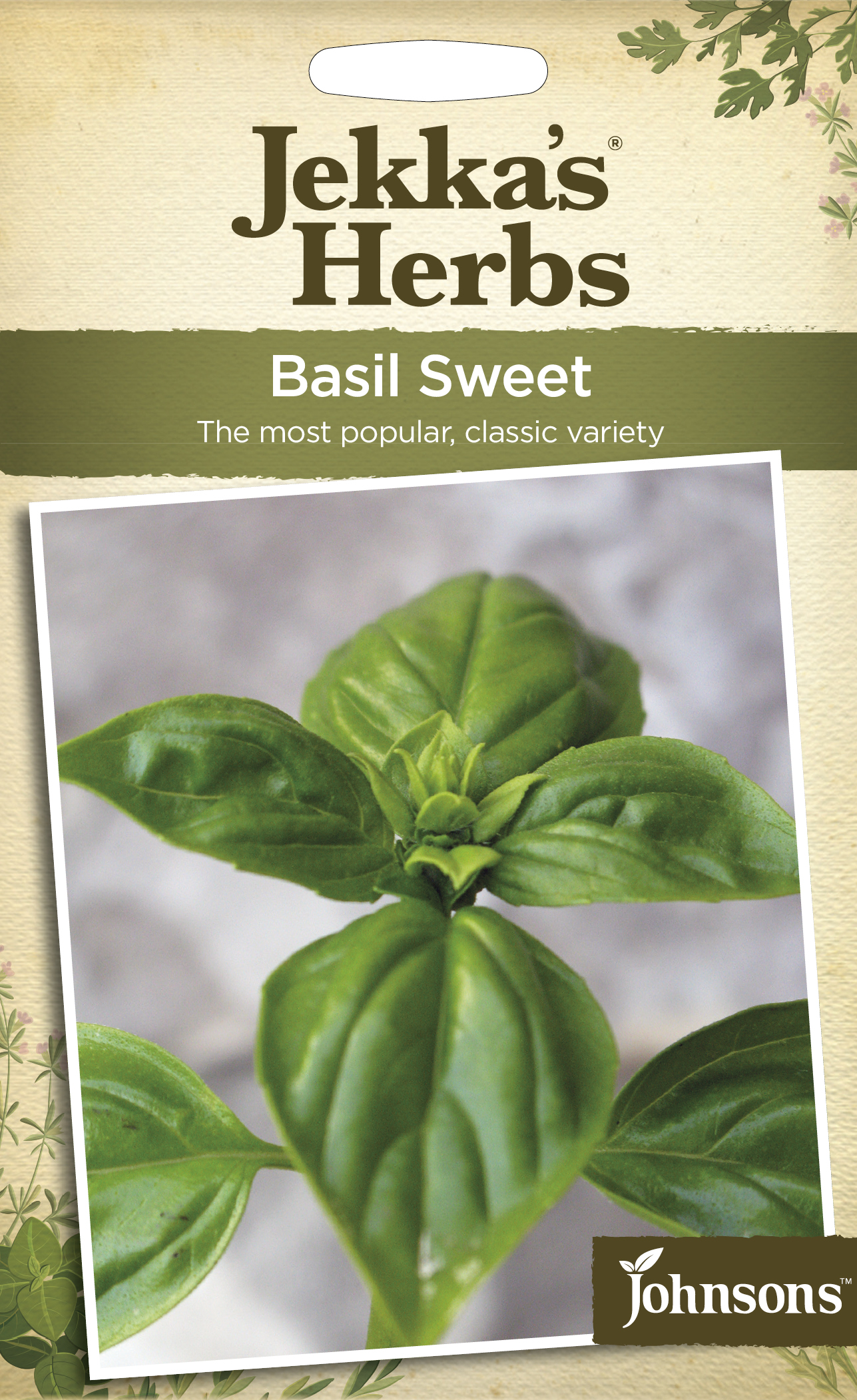 Basilika 'Sweet' frö - Fröer