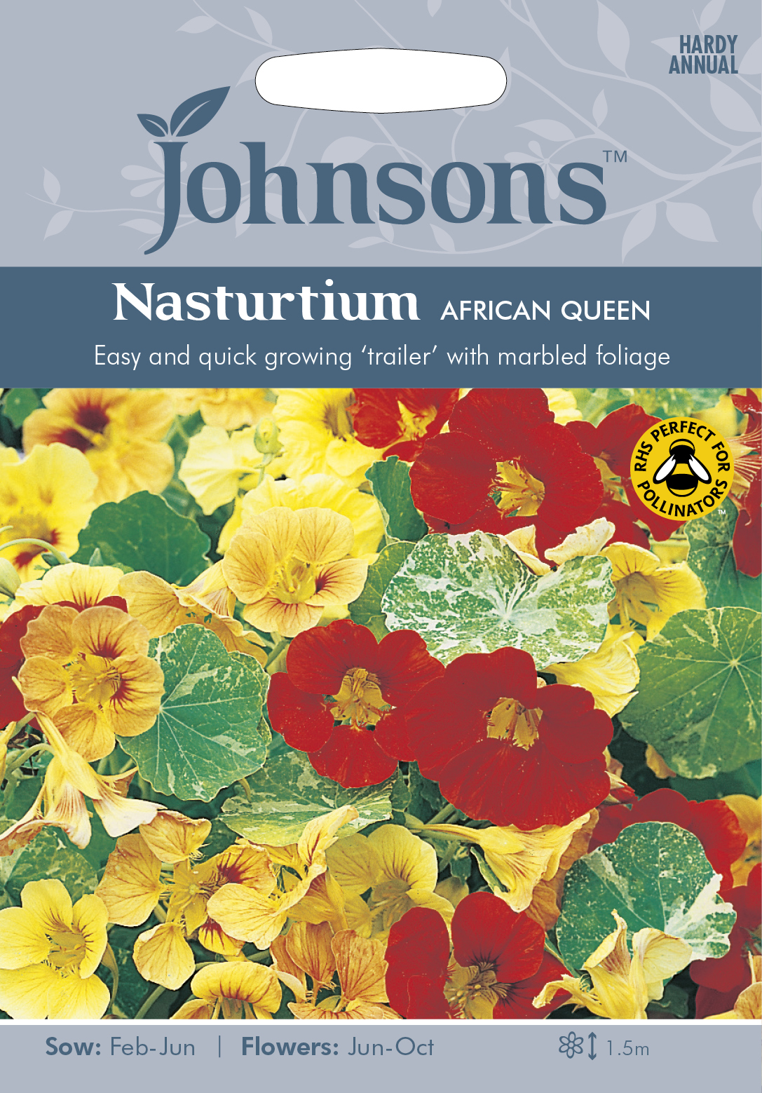 Slingerkrasse 'African Queen', frö - Fröer