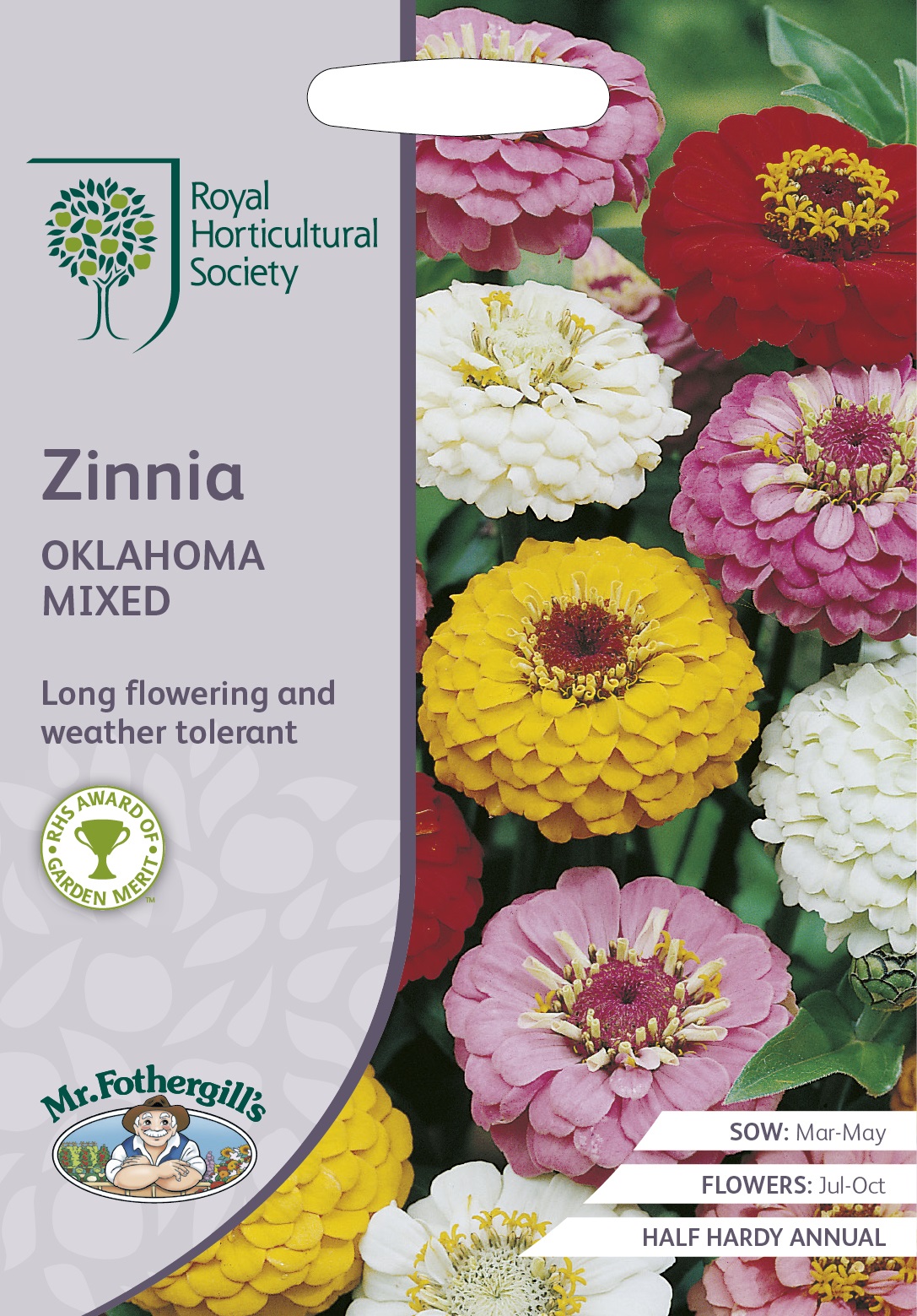 Zinnia Oklahoma mix, frö - Fröer
