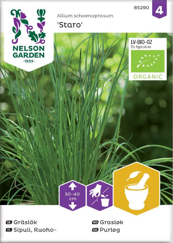 Gräslök 'Staro' Organic frö - Fröer
