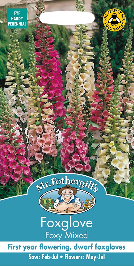 Fingerborgsblomma 'Foxy' mix, frö - Fröer