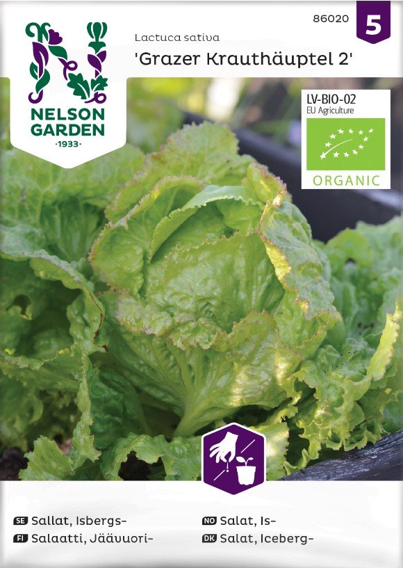 Isbergssallat 'Grazer Krauthäuptel 2' Organic - Fröer