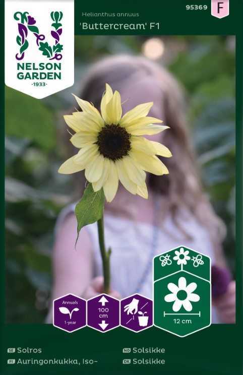 Solros 'Buttercream' F1 - Fröer