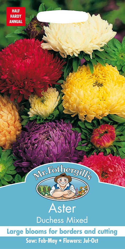 Sommaraster 'Duchess' mix, frö - Fröer