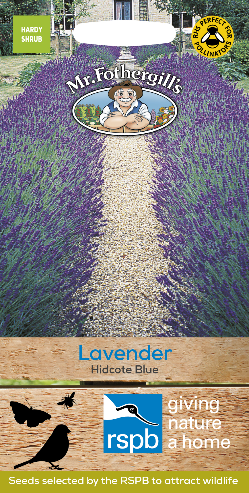 Lavendel 'Hidcote', frö - Fröer