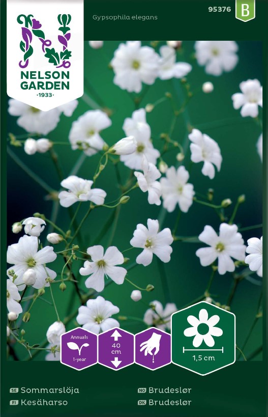 Sommarslöja frö - Fröer