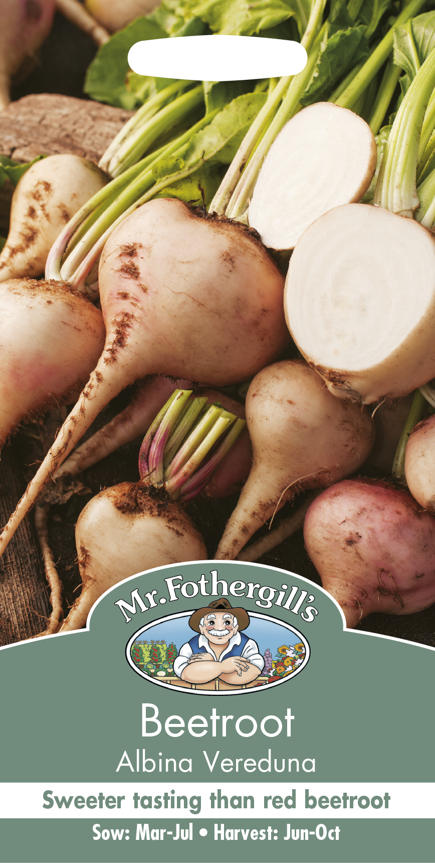 Vit rödbeta 'Albina Vereduna' - Fröer