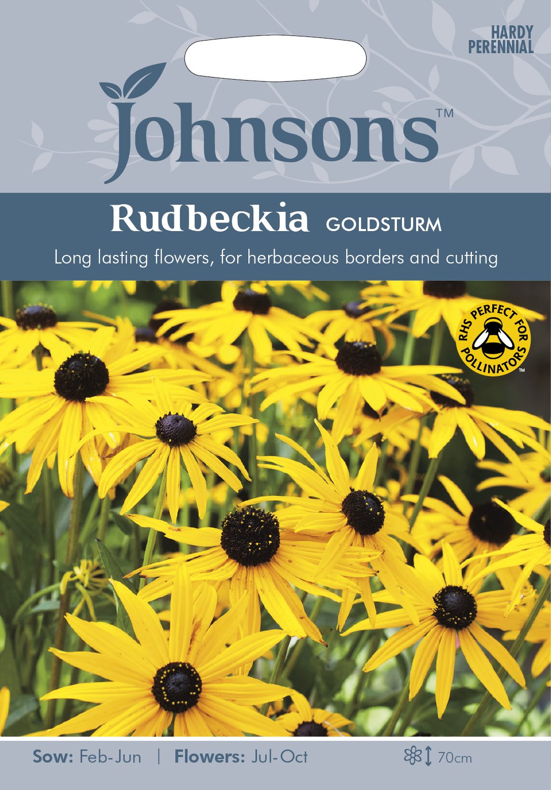Strålrudbeckia 'Goldsturm', frö - Fröer