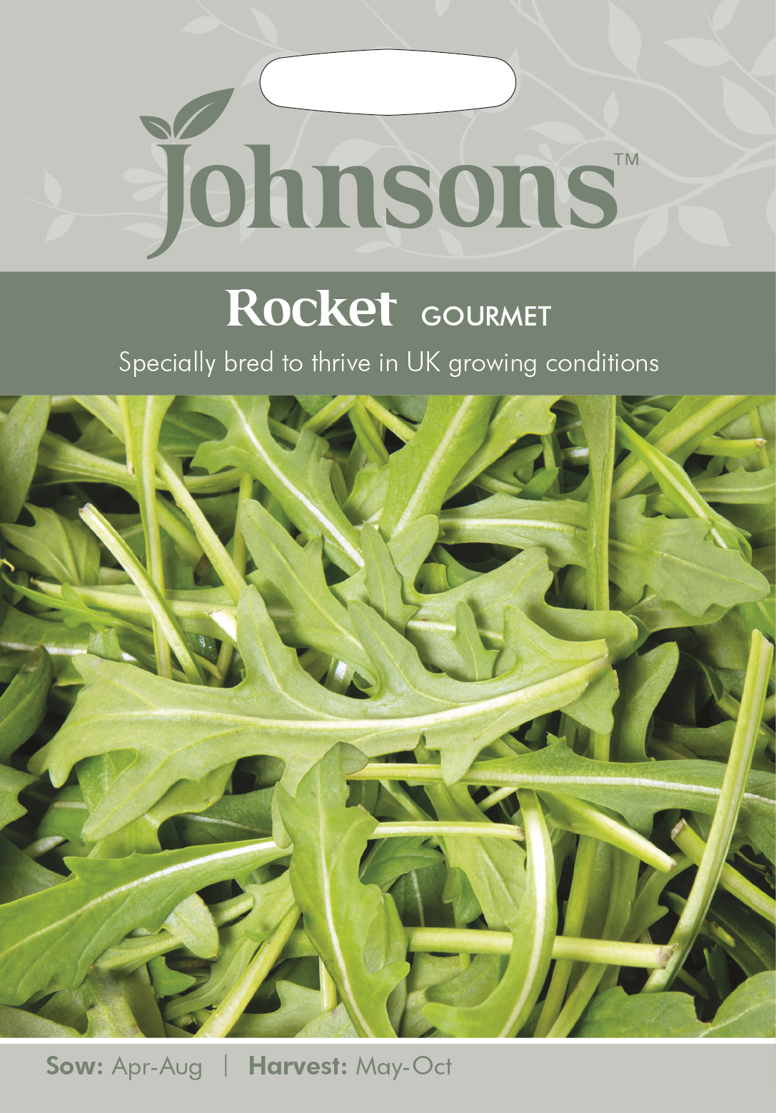 Ruccola 'Gourmet' - Fröer