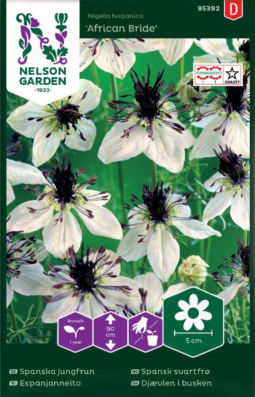 Spanska Jungfrun 'African Bride' frö - Fröer