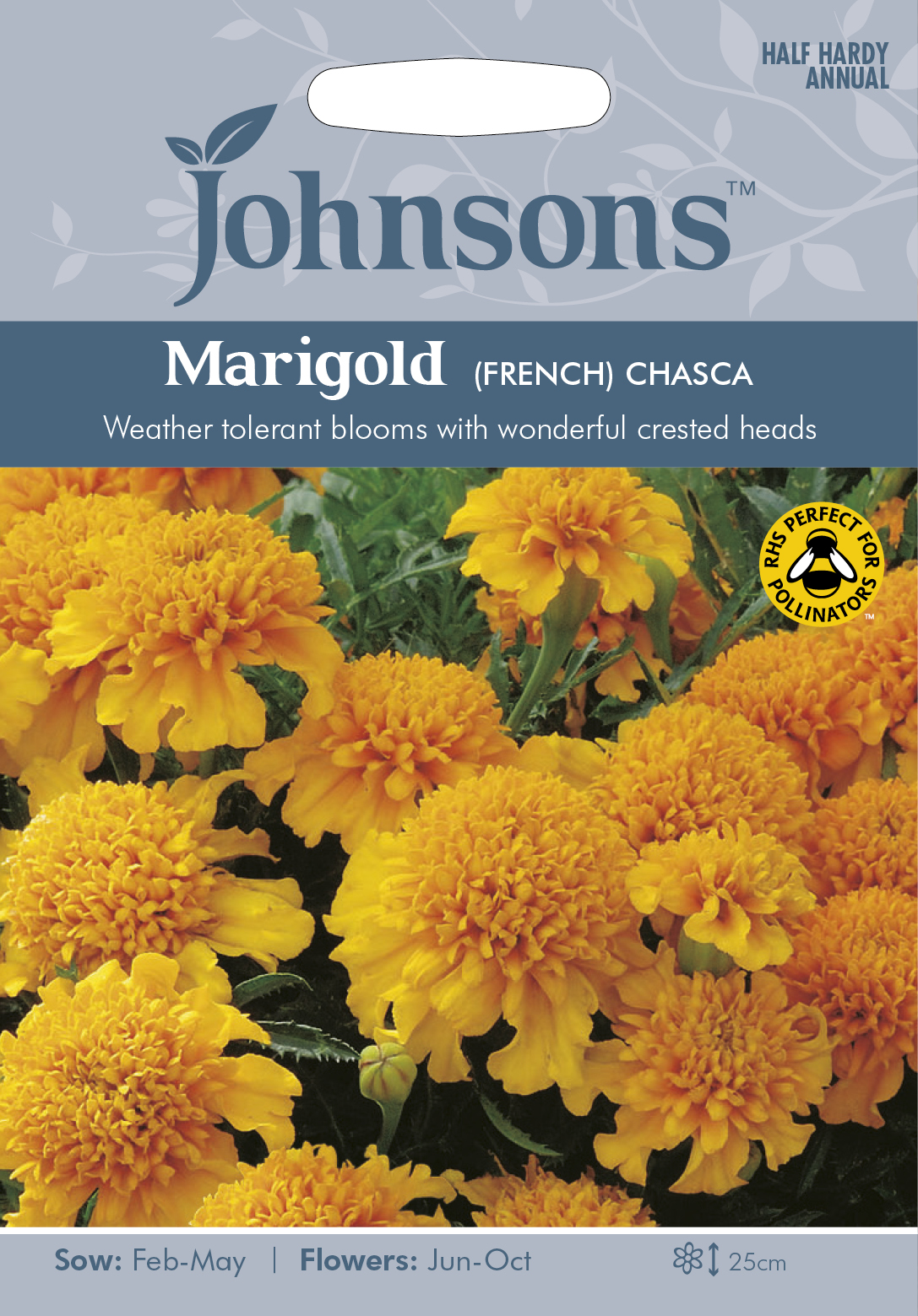 Sammetstagetes 'Chasca', frö - Fröer