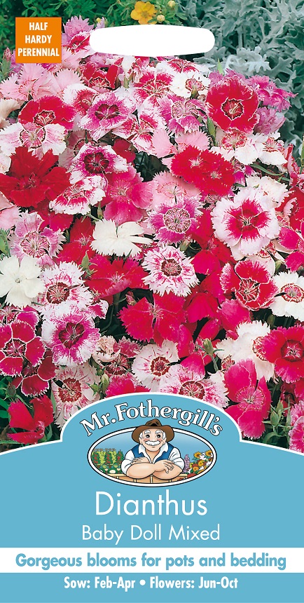 Sommarnejlika 'Baby Doll' mix, frö - Fröer