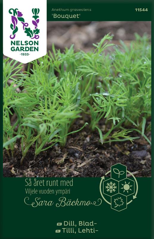 Bladdill 'Bouquet' frö - Fröer