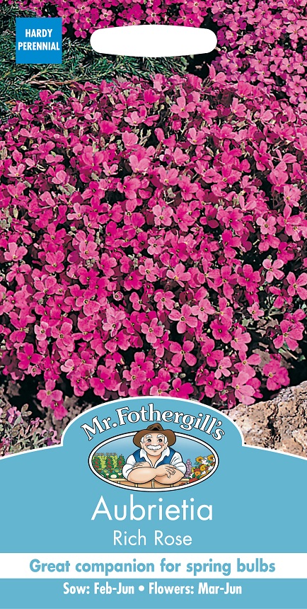 Aubrietia 'Rich Rose', frö - Fröer