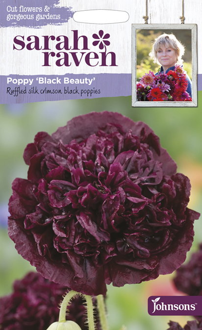 Pionvallmo 'Black Beauty', frö - Fröer