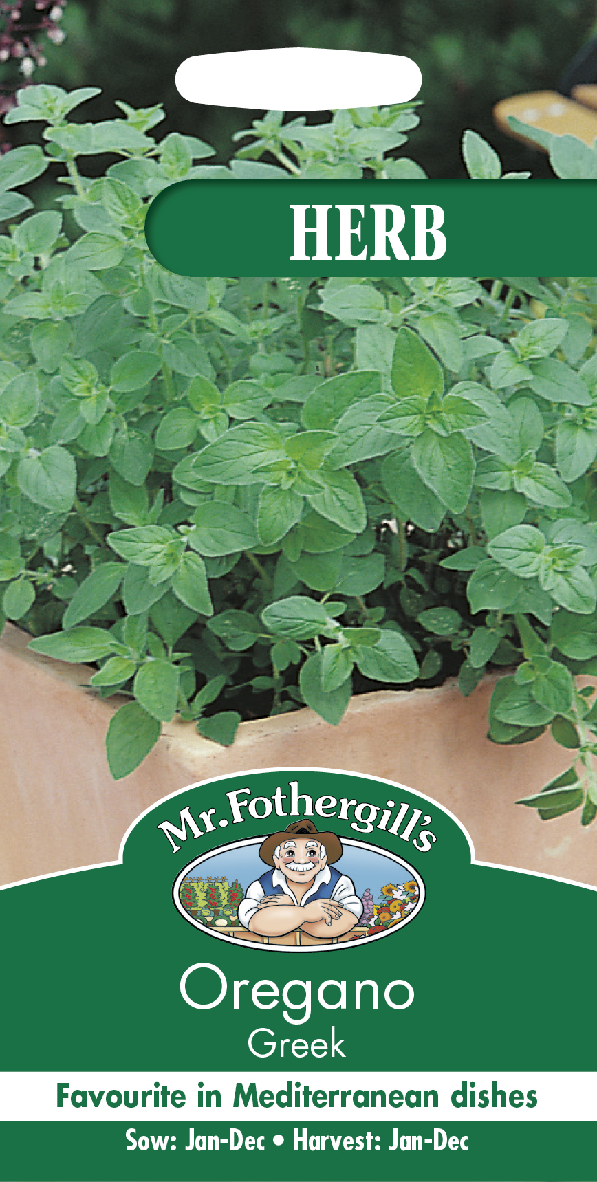 Oregano 'Greek' frö - Fröer