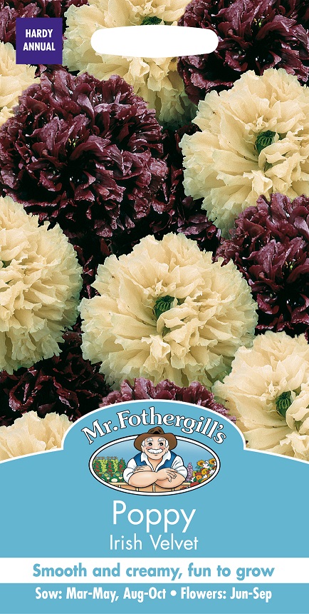 Pionvallmo 'Irish Velvet' mix, frö - Fröer