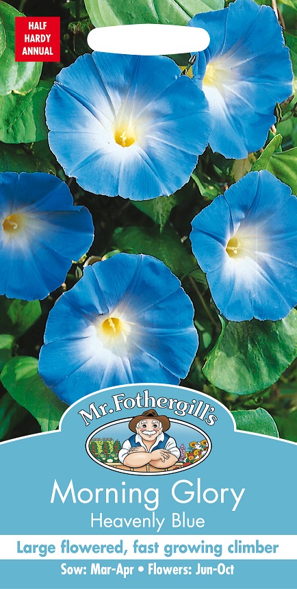 Blomman för dagen 'Heavenly Blue', frö - Fröer