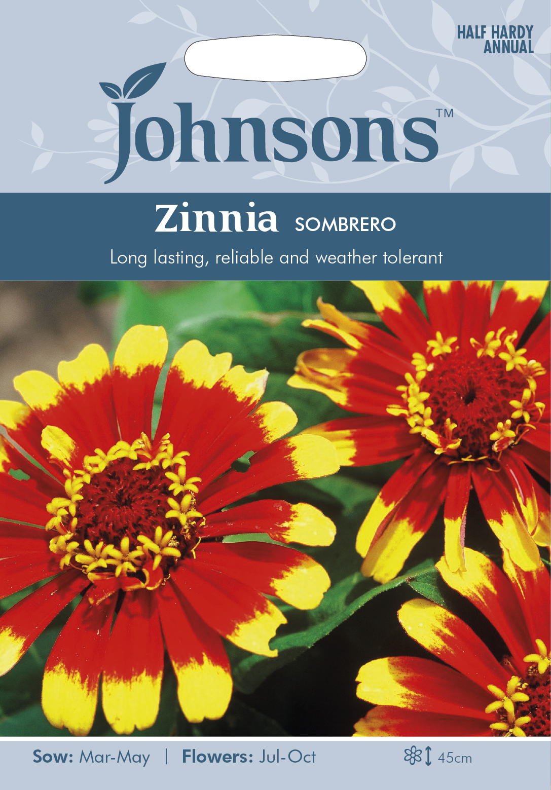 Zinnia 'Sombrero', frö - Fröer