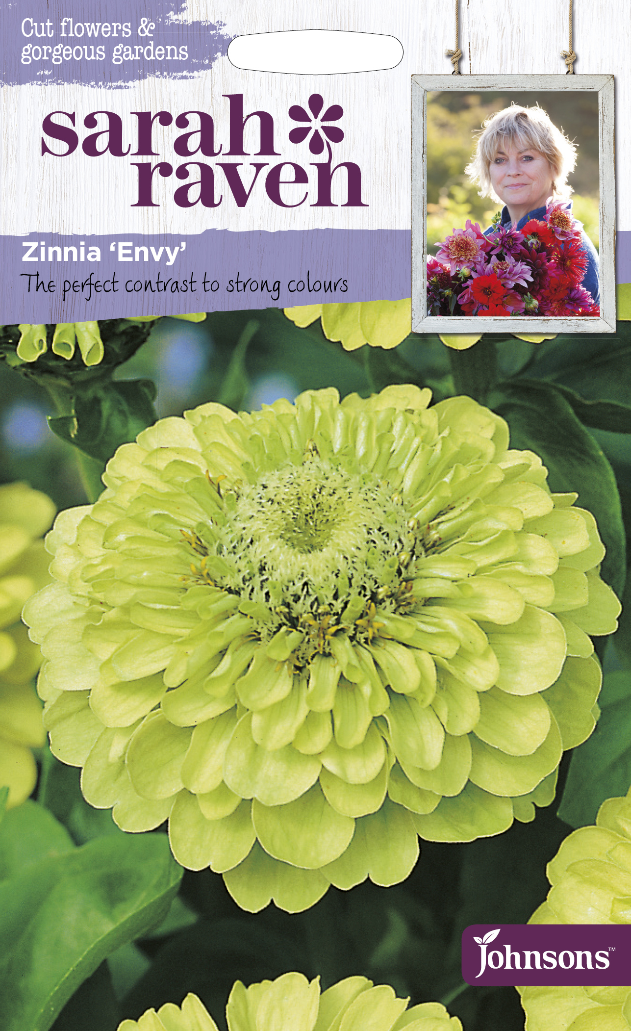 Zinnia 'Envy', frö - Fröer