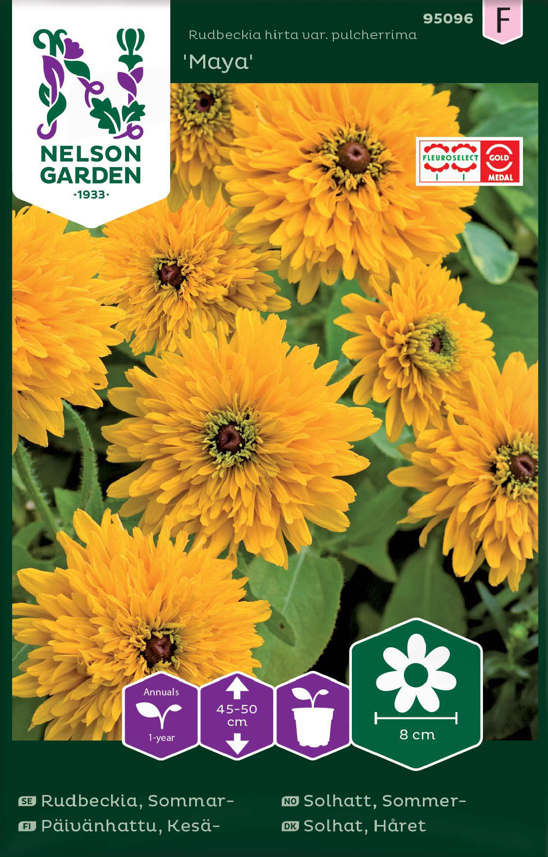 Sommarrudbeckia 'Maya' frö - Fröer