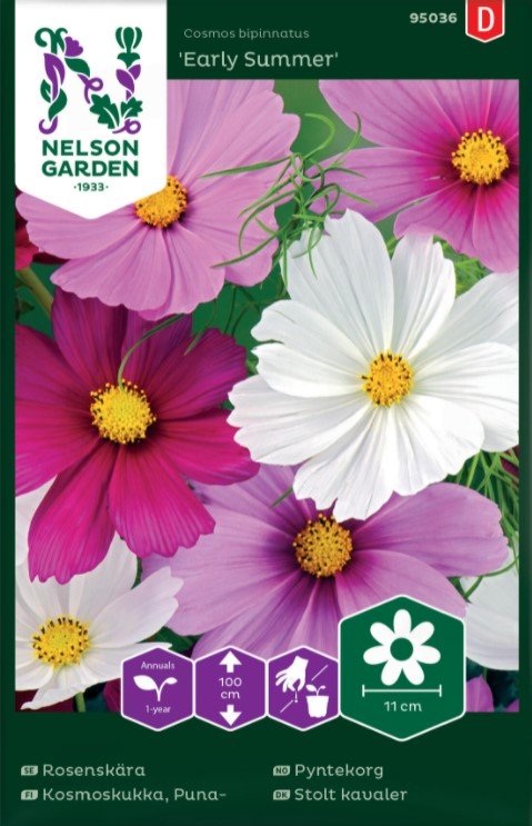 Rosenskära 'Early Summer' Mix - Fröer