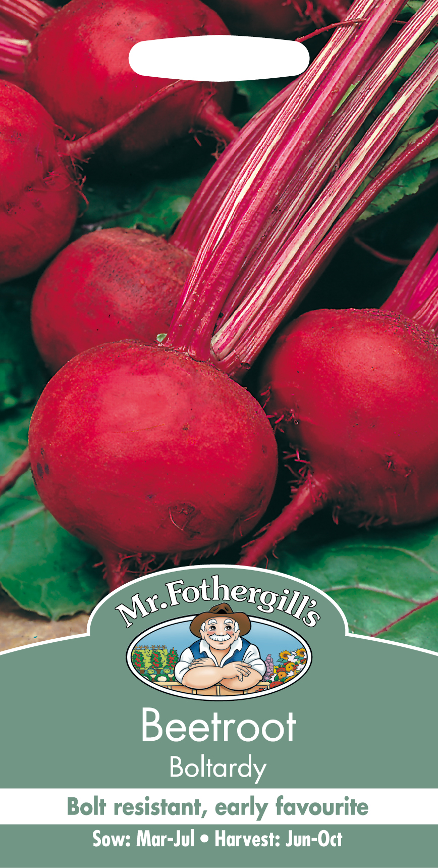 Rödbeta 'Boltardy' - Fröer