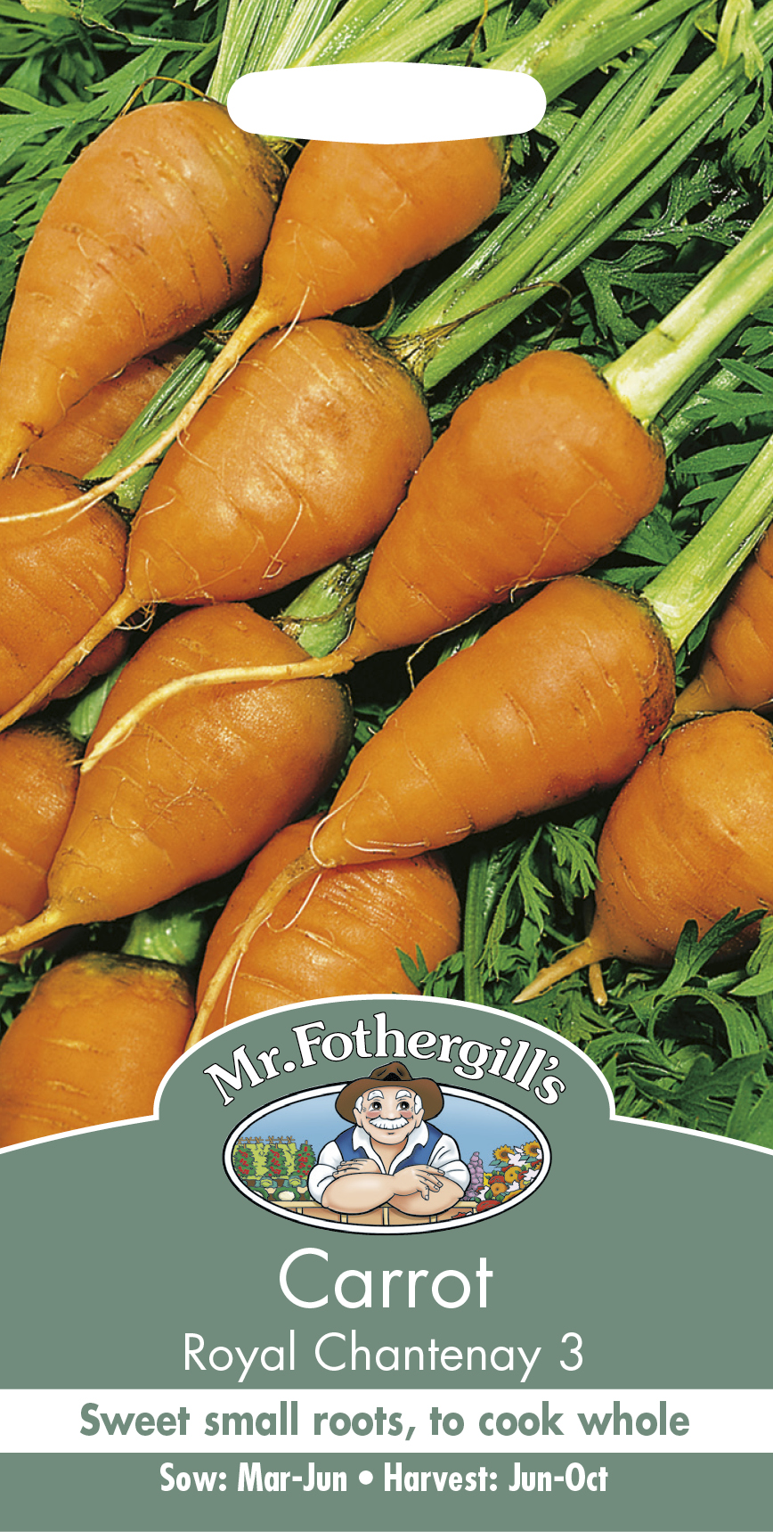 Morot 'Royal Chantenay 3' - Frö - Fröer