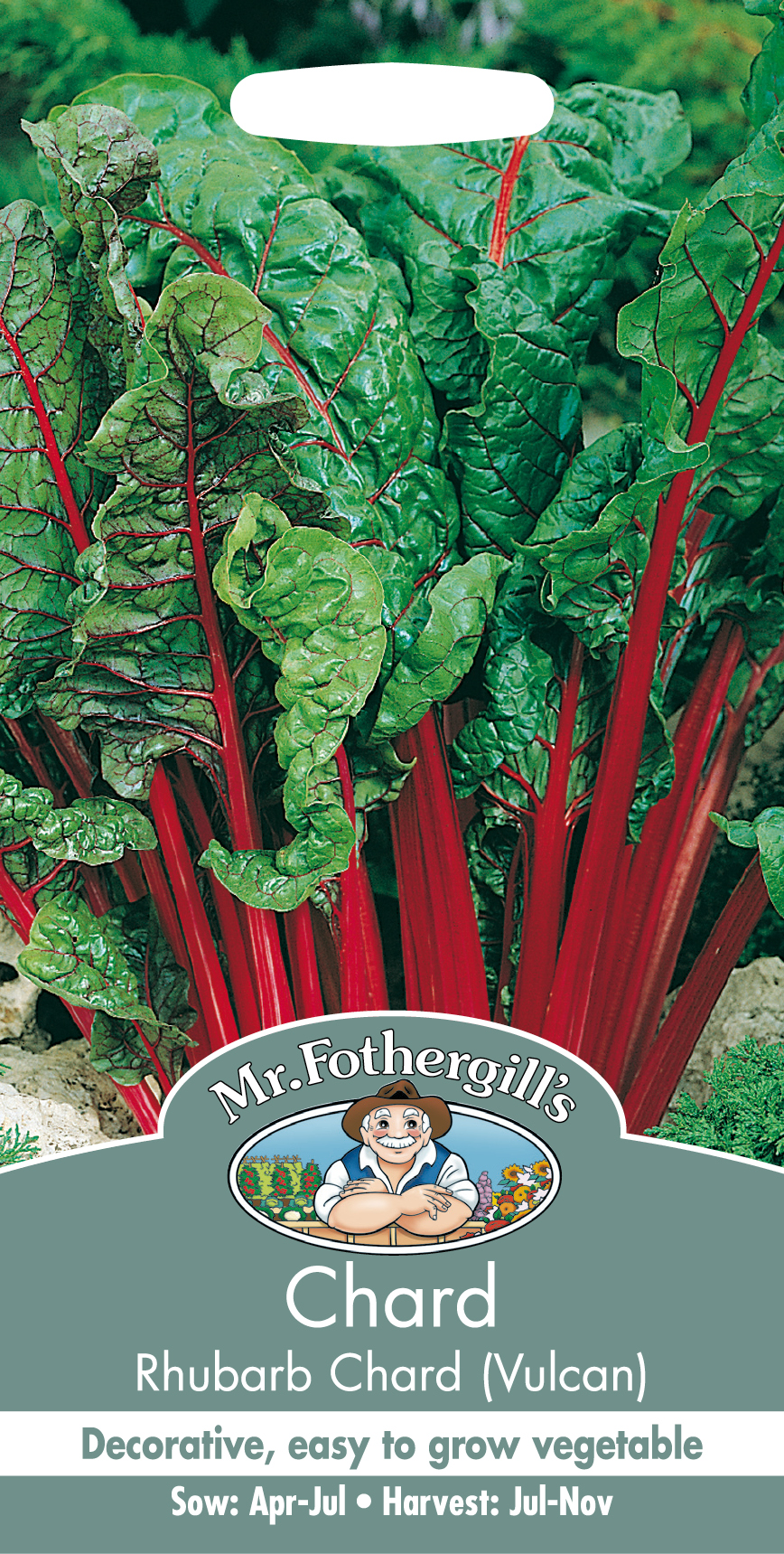 Mangold 'Rhubarb Chard (Vulcan)' - Fröer