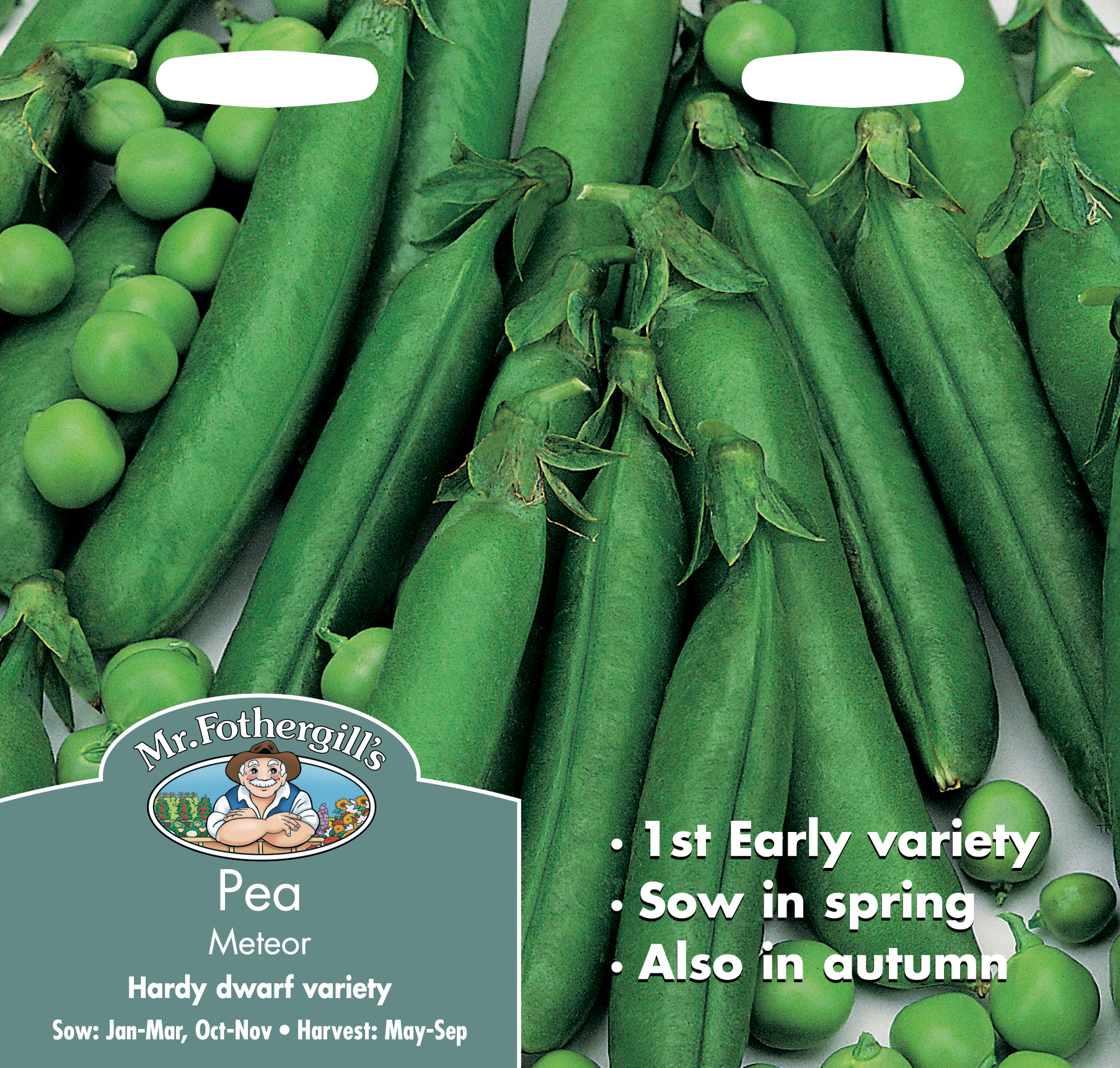 Spritärt 'Meteor' - Fröer