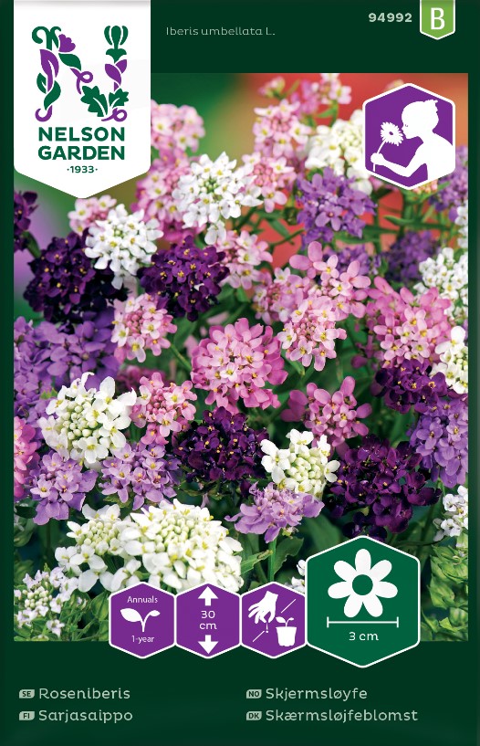 Roseniberis Mix frö - Fröer
