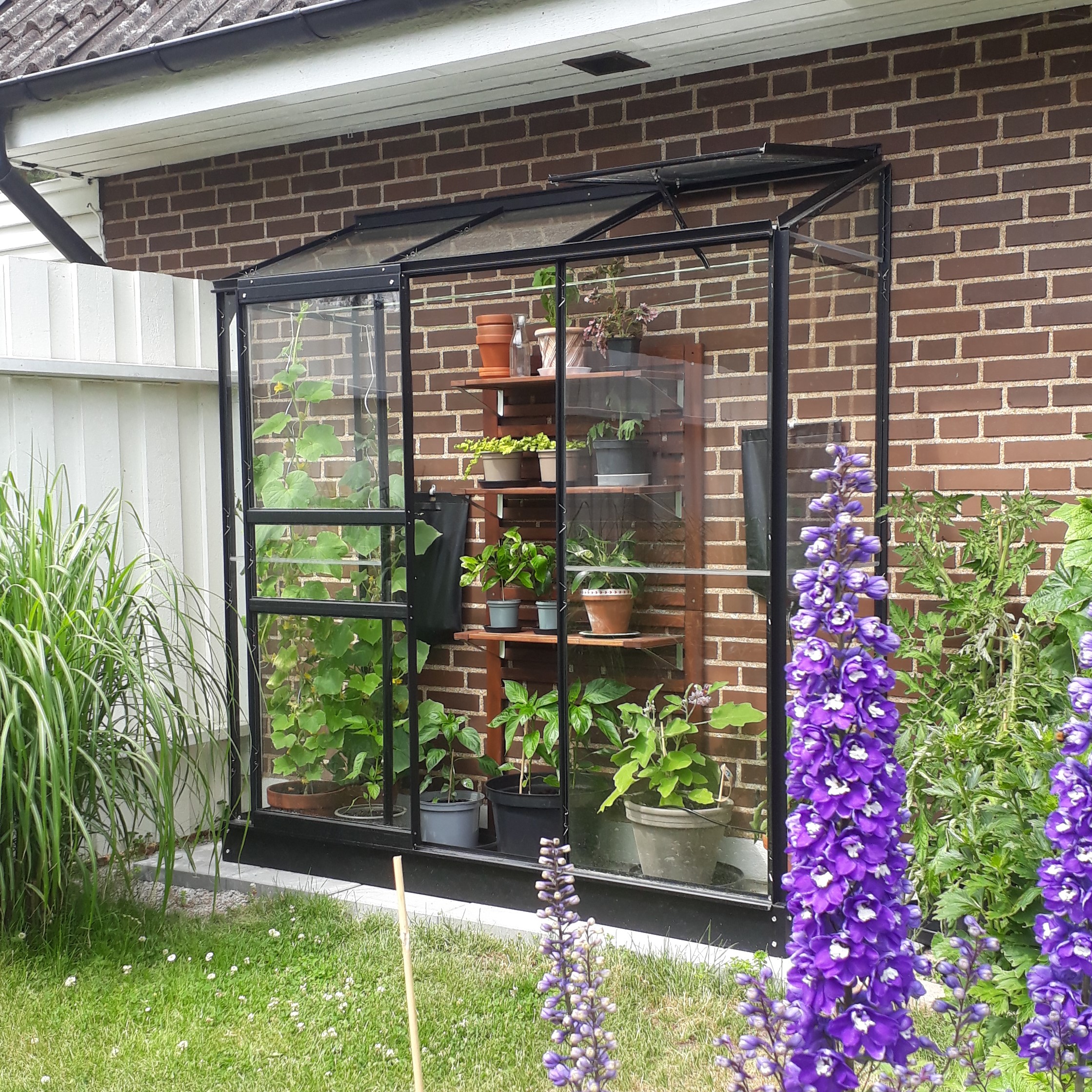 Väggväxthus Pluto - 1,3 m² - Härdat glas