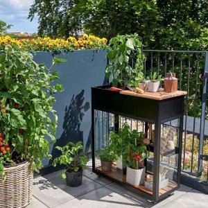 Balkongväxthus miniväxthus drivhus Juliana 4 mm glas 0,25 m²